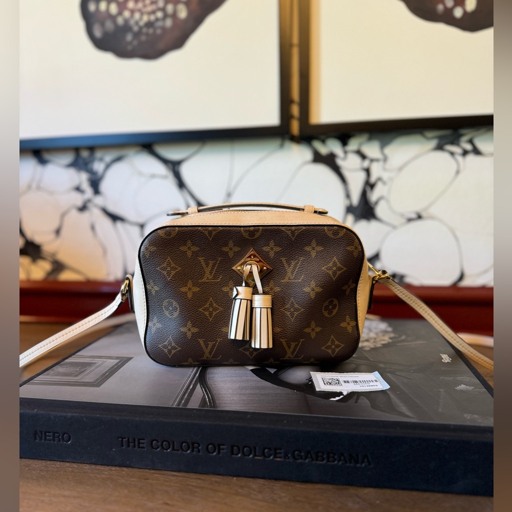 Louis Vuitton crossbody